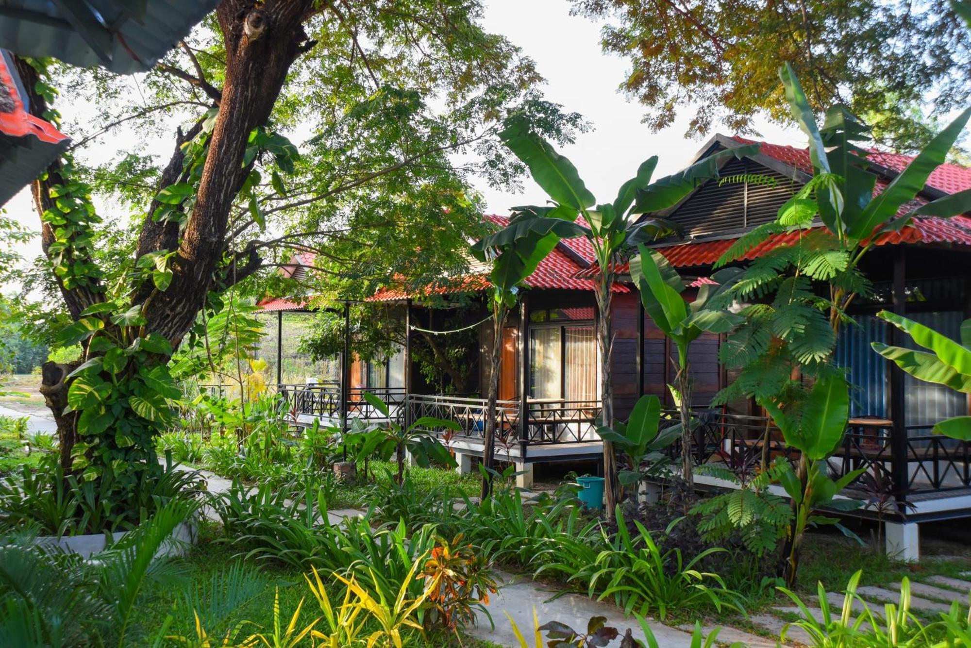 סיאם ריפ Densy Angkor Bungalow מראה חיצוני תמונה